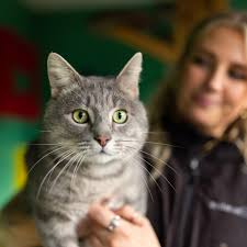 Has your pet gone missing? We know how worrying it can be when a beloved  pet doesn't come home. If your animal is missing, here's what to do right  away: 🐾 Visit