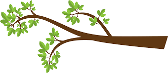 Bird On Tree Branch Png Image Of Tree Branch Tree Branch Wallpaper White Tree Branches Tree Branches