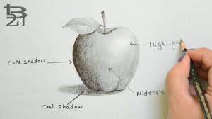 Draw Apple With Pencil How To Do Shading Learn Light And Shadow Shadow Drawing Drawing Apple Apple Picture Shampoo drawing black and white. draw apple with pencil how to do