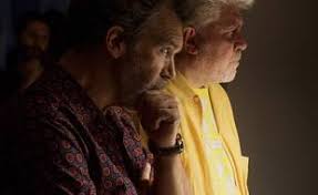 RÃ©sultat de recherche d'images pour "douleur et gloire"