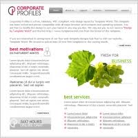 Do the preparation task first. Personal Profile Free Website Templates For Free Download About 3 Free Website Templates