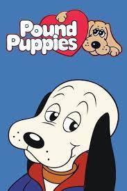 A female dog from a wealthy family named violet vanderfeller is picked up and taken to the city pound, where she meets the gang and discovers their mission of uniting themselves up with homes. Pound Puppies Tv Series 1985 1988 Imdb