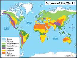Basic Biomes North Pole Google Search Biomes Desert Biome Wetland Biome