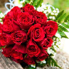 Good luck flowers & bouquets wish your loved ones the best with good luck bouquets fresh from proflowers. How To Pick The Perfect Flowers For Valentine S Day Abc News