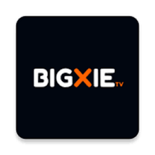 It is suitable for everyone, even if you are not a professional editor. Download Bigxie Pro Apk Latest V3 For Android