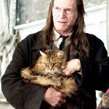 About harry potter name generator. Mrs Norris The Cat From Harry Potter Is A Maine Coon Maine Coon Expert