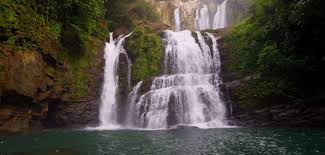 Image result for cool nature gifs