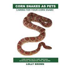 And when they feel threatened, especially in the wild, they may vibrate their tail, similar to rattlesnakes, as a defense mechanism. Corn Snakes As Pets Corn Snake Facts Care Breeding Nutritional Information Tips And More Caring For Your Corn Snake Paperback May 10 2017 Buy Online In Serbia At Serbia Desertcart Com Productid 43016680