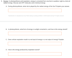 Pogil biology answer key cellular respiration author: What Are The Inputs And Outputs Of Photosynthesis And Cellular Respiration Related To One Another