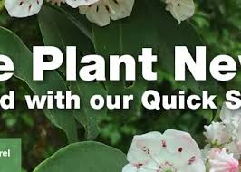 Our virginia wildflower list also includes flowers that bloom later in the summer. Plant Northern Virginia Nova Natives