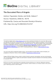 Image result for Xysmalobium holubii