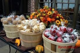 Candy Apple Wedding Favor Wedding Favors Fall Candy Apples Wedding Favors Apple Wedding Favors