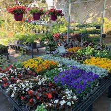 Maybe you would like to learn more about one of these? Vision Ace Hardware Home Facebook