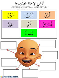 Artikel yang membahas 20 contoh kata benda dalam bahasa arab dilengkapi dengn artinya dalam bahasa indonesia secara lengkap, mudah untuk difahami pelajar. Ø£Ø¹Ø¶Ø§Ø¡ Ø§Ù„Ø¬Ø³Ù… Interactive Worksheet