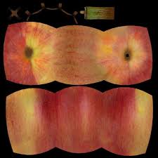 3d Model Apple Fruit Apple Fruit Apple Plant Fruit