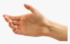 Right Hand Png Hand Holding Can Png Transparent Png Kindpng Jump to navigation jump to search. hand holding can png transparent png