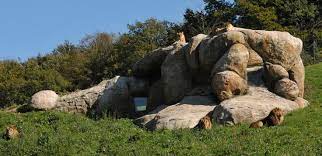 Der seit 1937 von der stadt wuppertal getragene zoo umfasst heute 24 hektar und hält etwa 5000 tiere. Startseite Zoo Der Grune Zoo Wuppertal