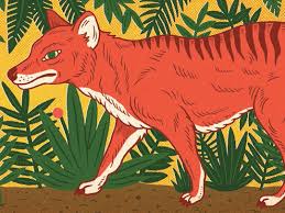 Later searches revealed no trace of the animal. The Obsessive Search For The Tasmanian Tiger The New Yorker