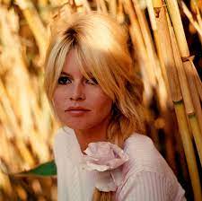 Bardot seller supplied images abebooks. Brigitte Bardot Frisur Im Trend Ideen Und Anleitung Zum Nachstylen