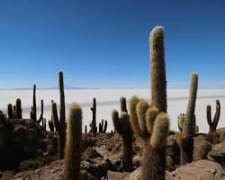 Immagine di Salar de Uyuni specchio del cielo e geyser Sol de Mañana e cactus giganti Incahuasi