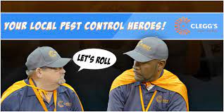 Pest control, mothproofing, insect control, bird control, bee removal, ant control, termite control, bat control, rodent control. Clegg S Termite Pest Control Llc Linkedin