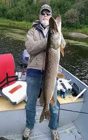 Based in lac du bonnet, jackson's lodge is easy to get to. 1 Northern Pike Fly Fishing Canada Canada Fly In Fishing Outpost In Manitoba Canada Trophy Pike Fishing Pike Fishing Fish Musky Fishing