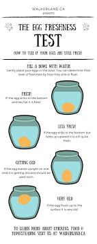Pin On Cooking