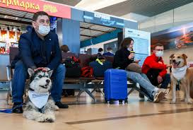 How do you qualify for an emotional support dog? As Air Travel Starts Up Again Emotional Support Animals Get Left Behind Salon Com