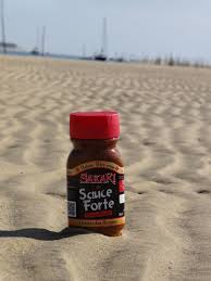 Sakari En Week End A Arcachon Sauce Arcachon
