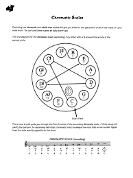How to read steel drum sheet music. Beginning Steel Drum Sheet Music By Othello Molineaux Drums Sheet Drum Sheet Music Steel Drum