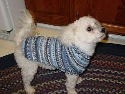 Ravelry free patterns (knit only) has 80,891 members. The Original Custom Fit Dog Sweater Dog Sweater Pattern Custom Dog Sweaters Crochet Dog Sweater Free Pattern