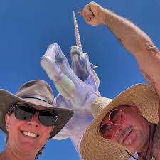 Hoping for a simple hello, but it feels like I'm invisible. 🥺"