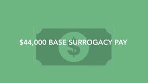 How much do surrogates make? How Much Does A Surrogate Make Pay More Conceiveabilities