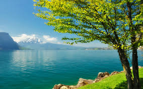 For other nature pictures in high definition resolution please browse now our collection of scenery wallpapers. Spring Scenery Wallpapers Group 71