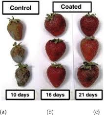 Fruit Physiology And Postharvest Management Of Strawberry