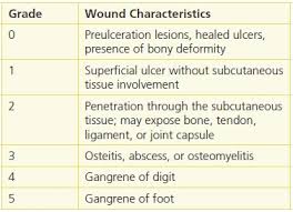 Image result for IDSA Diabetic Foot Wound Classification