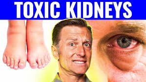 The Top SUPERFOODS for the Kidneys—Explained by Dr. Berg