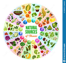 Natural Vitamin Vegetarian Food Sources Stock Vector