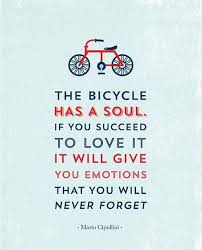 Why Choose A Folding Mountain Bike Zitate Zum Thema Fahrradfahren Fahrrad Zitate Fahrrad Spruch