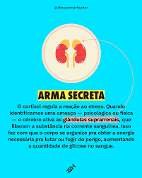 cortisol detox