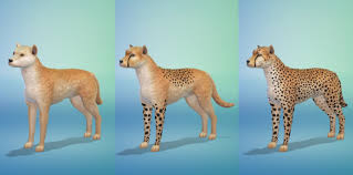 The awesome folks over at sims 4 studio have just . How To Create Wild Animals In The Sims 4 Cats Dogs