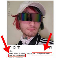 The Highland Park Shooting: Disinformation, Misinformation and Conspiracy  Theories