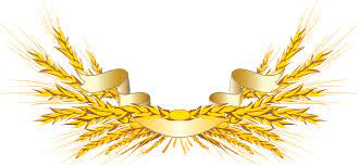 Wheat Png Image Gold Design Background Png Images Png