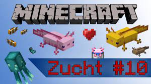 Babies follow adults, and grow to adulthood in 20 minutes. Minecraft 1 17 Axolotl Zuchten Und Zahmen Leuchttintenfische Wie Geht Was 024 Youtube