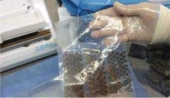 SciELO Brazil - Xenoenxerto (pele da Tilápia-do-Nilo) e hidrofibra com prata no tratamento das queimaduras de II grau em adultos Xenoenxerto (pele da Tilápia-do-Nilo) e hidrofibra com prata no tratamento das queimaduras