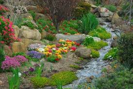 (using a raised garden bed to create a rock garden is also possible for a yard with virtually no soil.) stay cognizant of the sunniness of your backyard, as this coarse, rocky layer is spread to prevent your plants' roots from getting soggy (this same logic also applies for putting together a terrarium ). Fraser C Robb News How To Create A Rock Garden