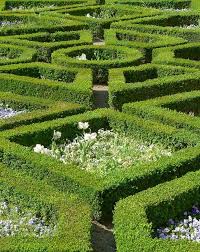 Firenze Giardino Di Boboli Beautiful Gardens Gardens Of The World Italian Garden