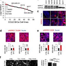 Douglas S. Conklin's research works