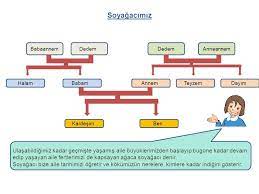 En Hizli Soy Agaci Nasil Yapilir Odev