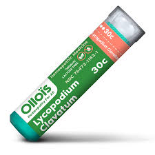 Image result for Lycopodium clavatum